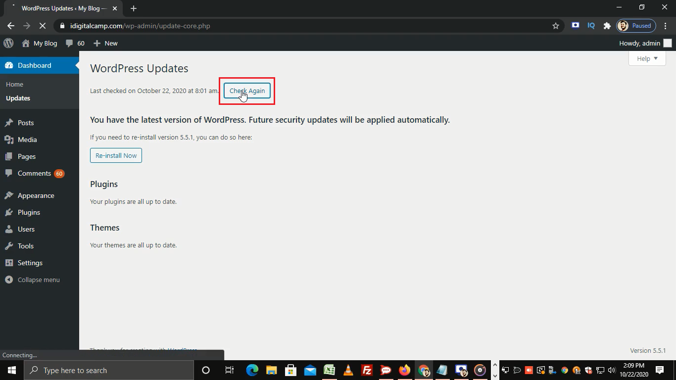 How to Update WordPress Installation?