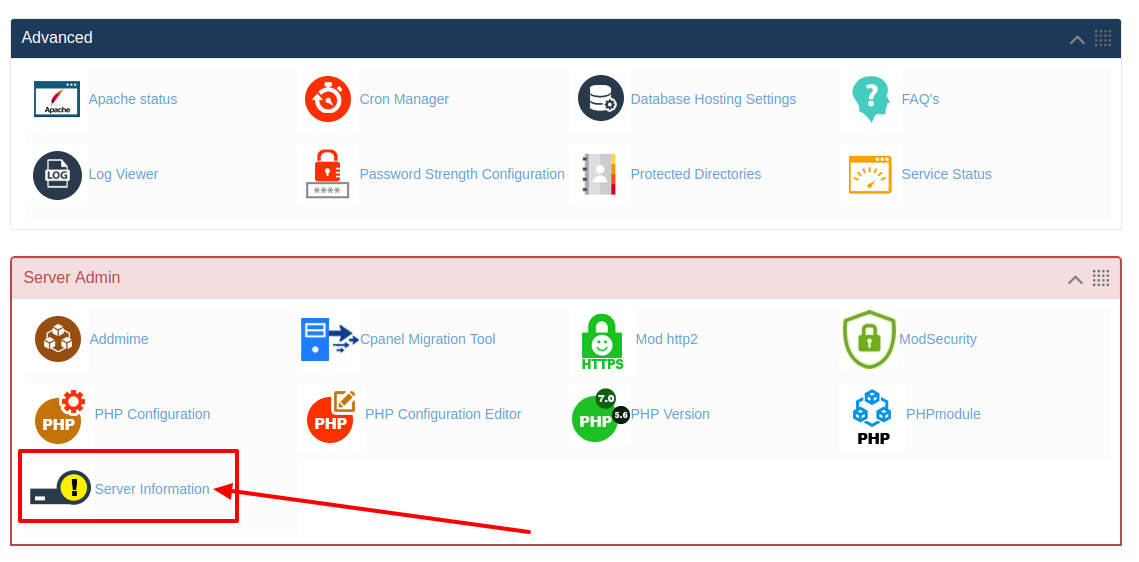 How to check server information in HS Panel?