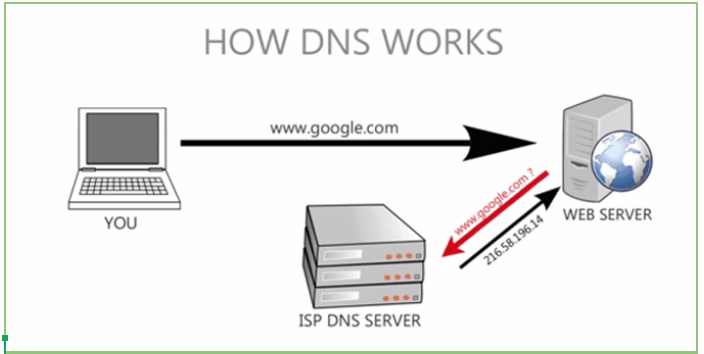 How to find DNS nameserver from WHM Panel
