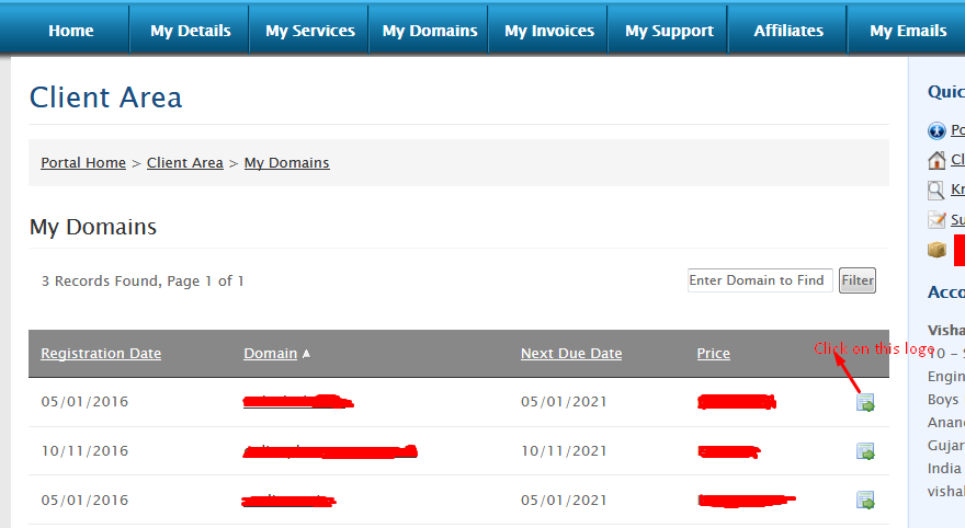 How to update DNS in client area