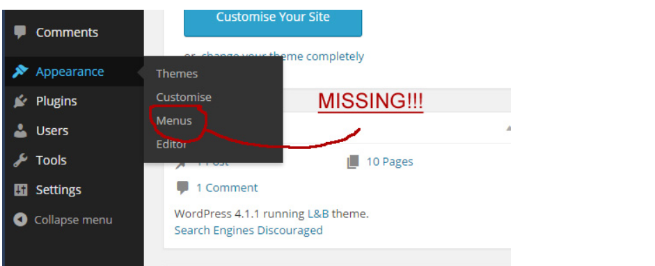 WordPress website EDITOR Missing from Appearance Menu